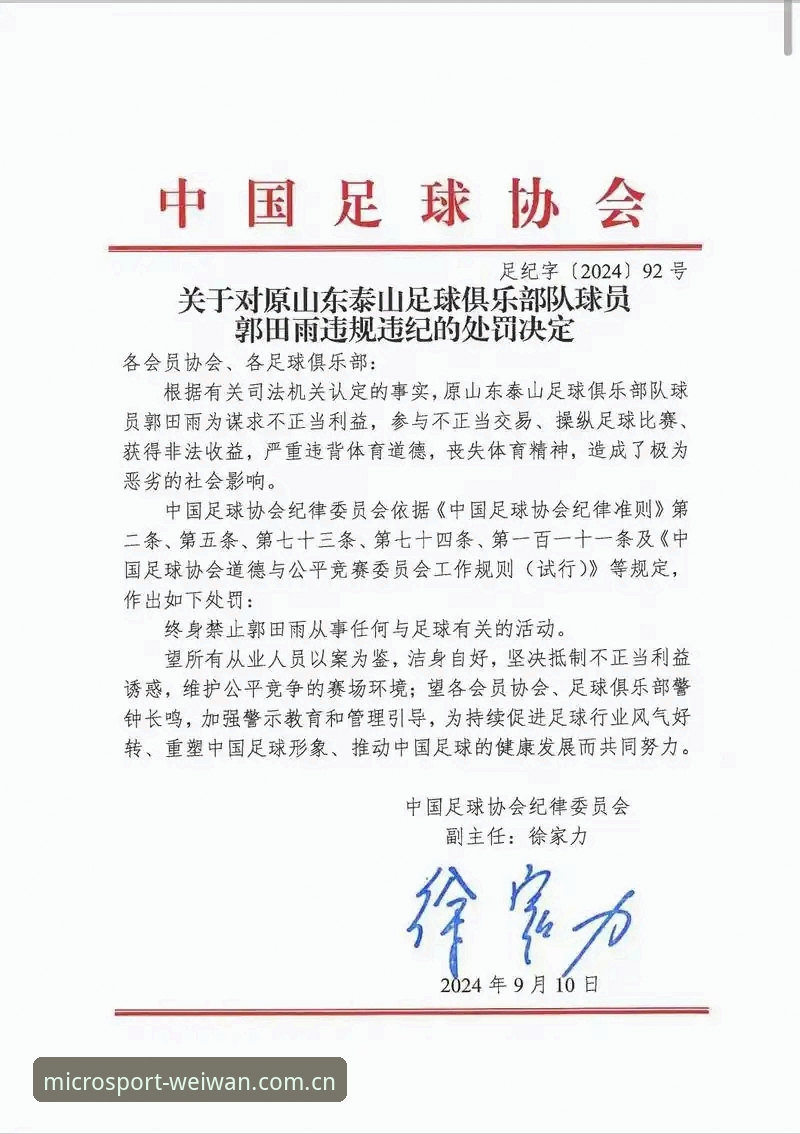 微玩体育娱乐资讯 透析足协第三批禁足令:从名单看中国足球反腐的实用分析
