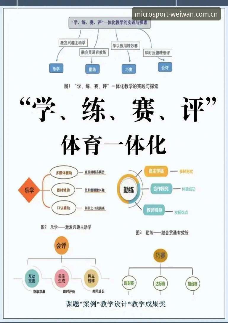微玩体育APP必备的五大实用技巧与深度体验分享