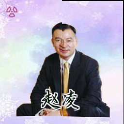 赵凌