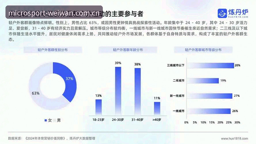 微玩体育平台行业趋势与功能详解